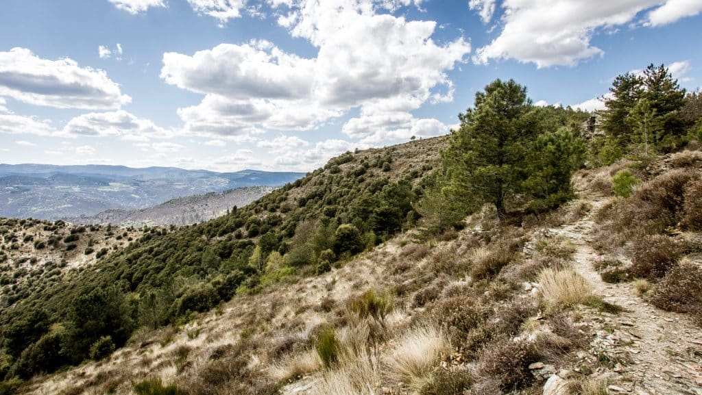 chemin de stevenson cevennes